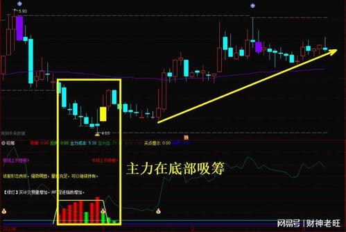 全国工程项目陆续开工,建筑行业回暖,这家公司产品国内排名第一